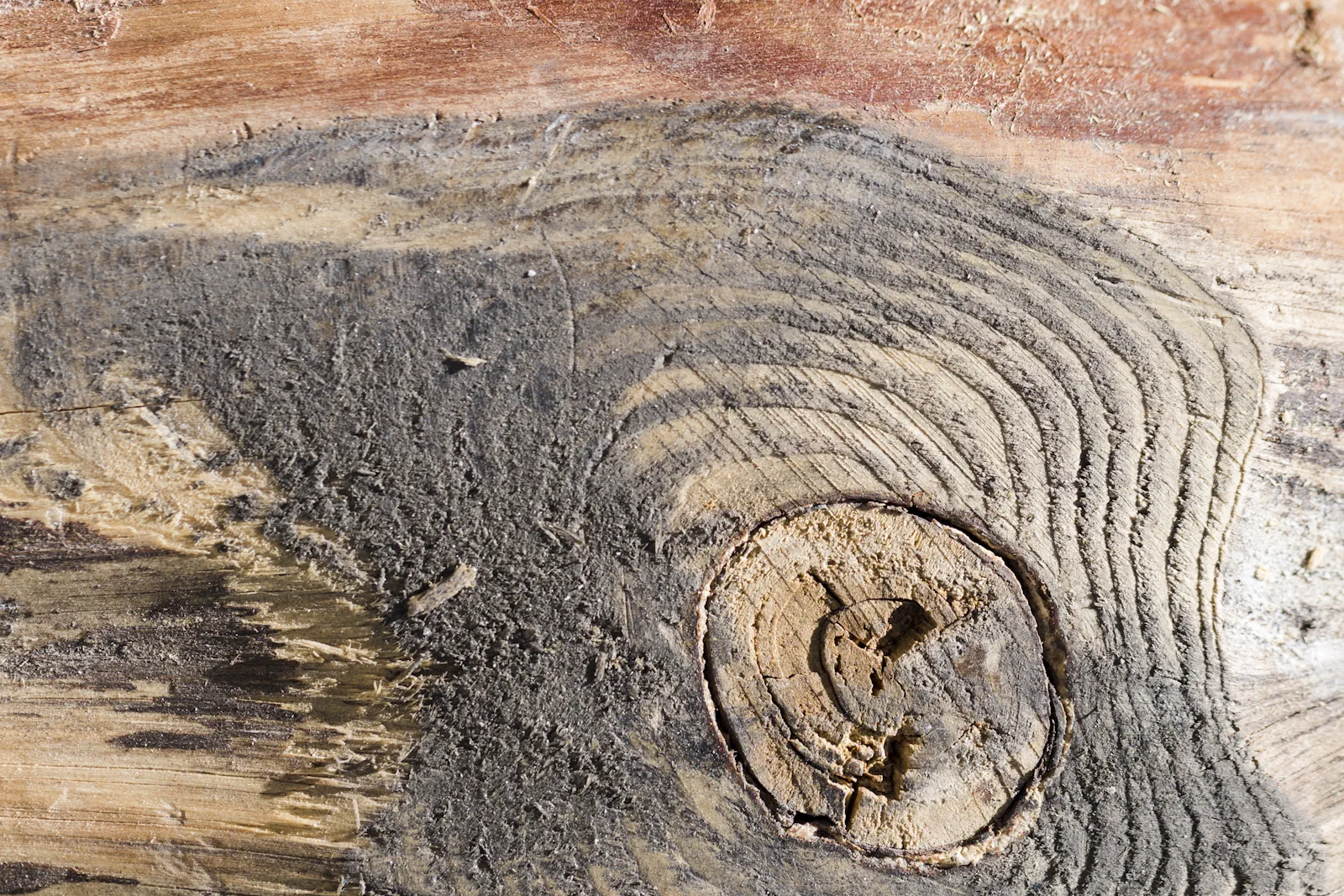 The Beauty of Imperfect Materials