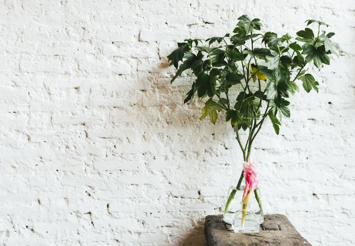 Beyond “Non-Toxic”: When Materials Give Back