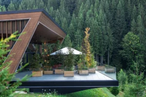 Terrace with trees forest cozy outdoor relaxation space