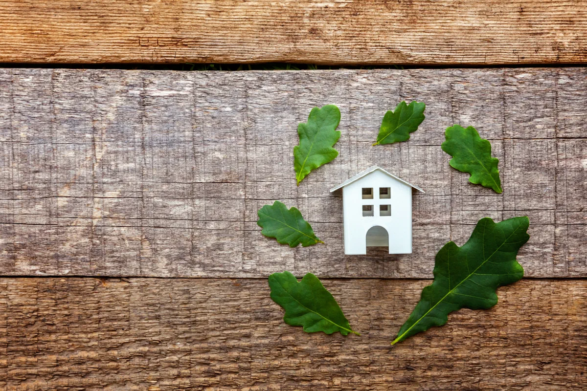The Carbon in Your Walls