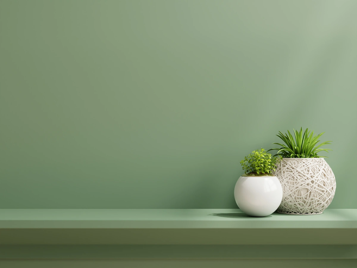 interior-wall-with-plant-green-wall-shelf
